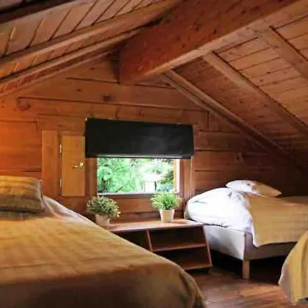 Holiday home Finse Max 5 Volwassenen + 3 *