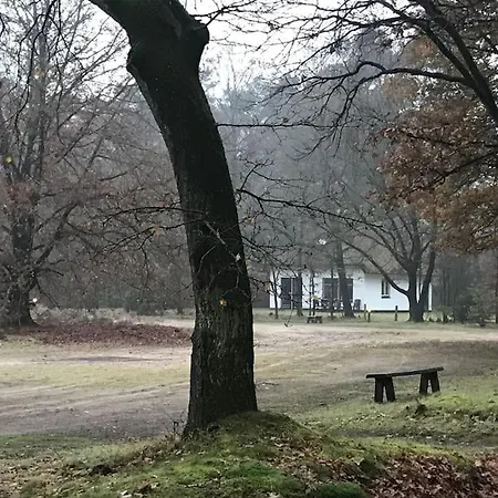 Finse Max 5 Volwassenen + 3 Ferienhaus *