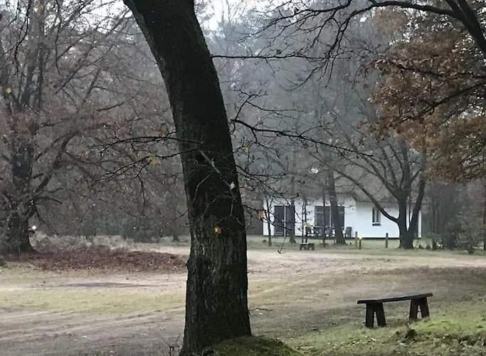 Finse Max 5 Volwassenen + 3 Semesterbostad *