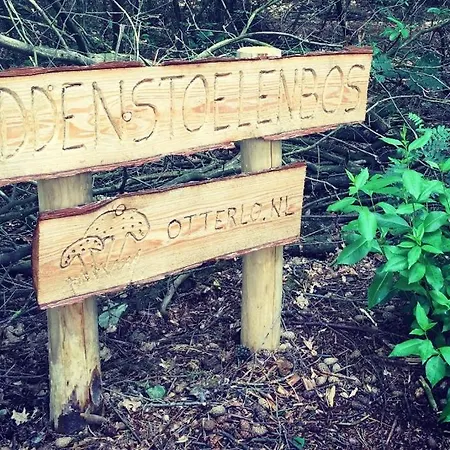 Finse Max 5 Volwassenen + 3 Tatil Evi *