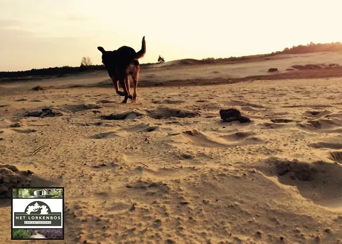 Finse Max 5 Volwassenen + 3 *