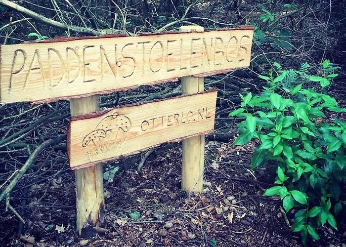 Finse Max 5 Volwassenen + 3 Tatil Evi *