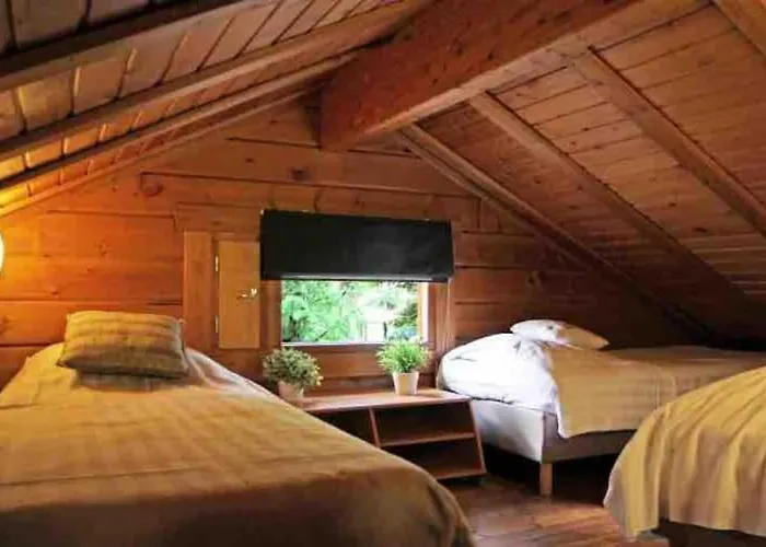 Tatil Evi Finse Max 5 Volwassenen + 3 *